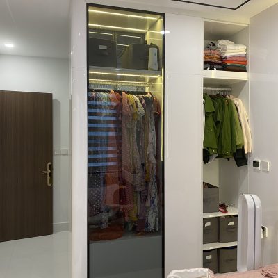 Cánh kính tủ áo 20×20